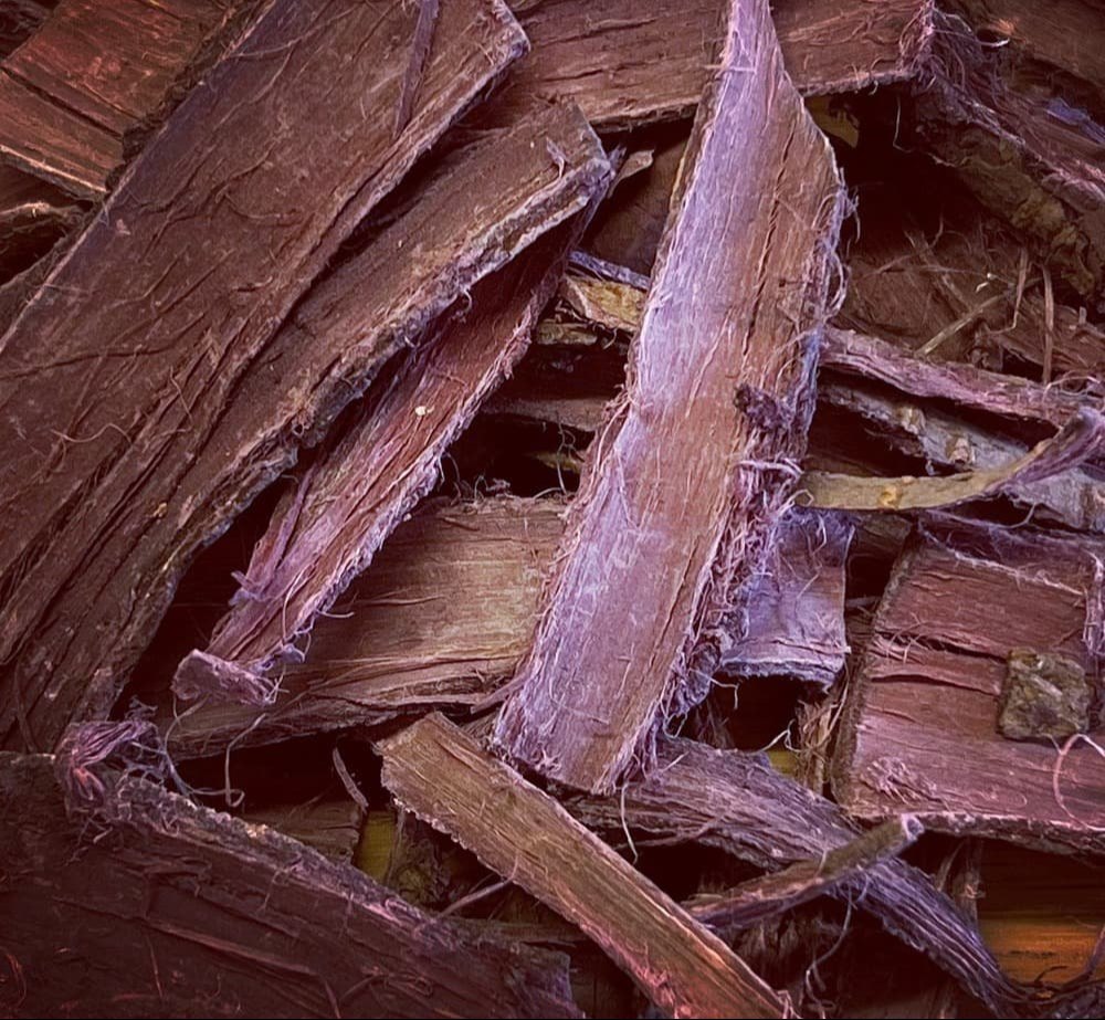 Hostilis Root Bark