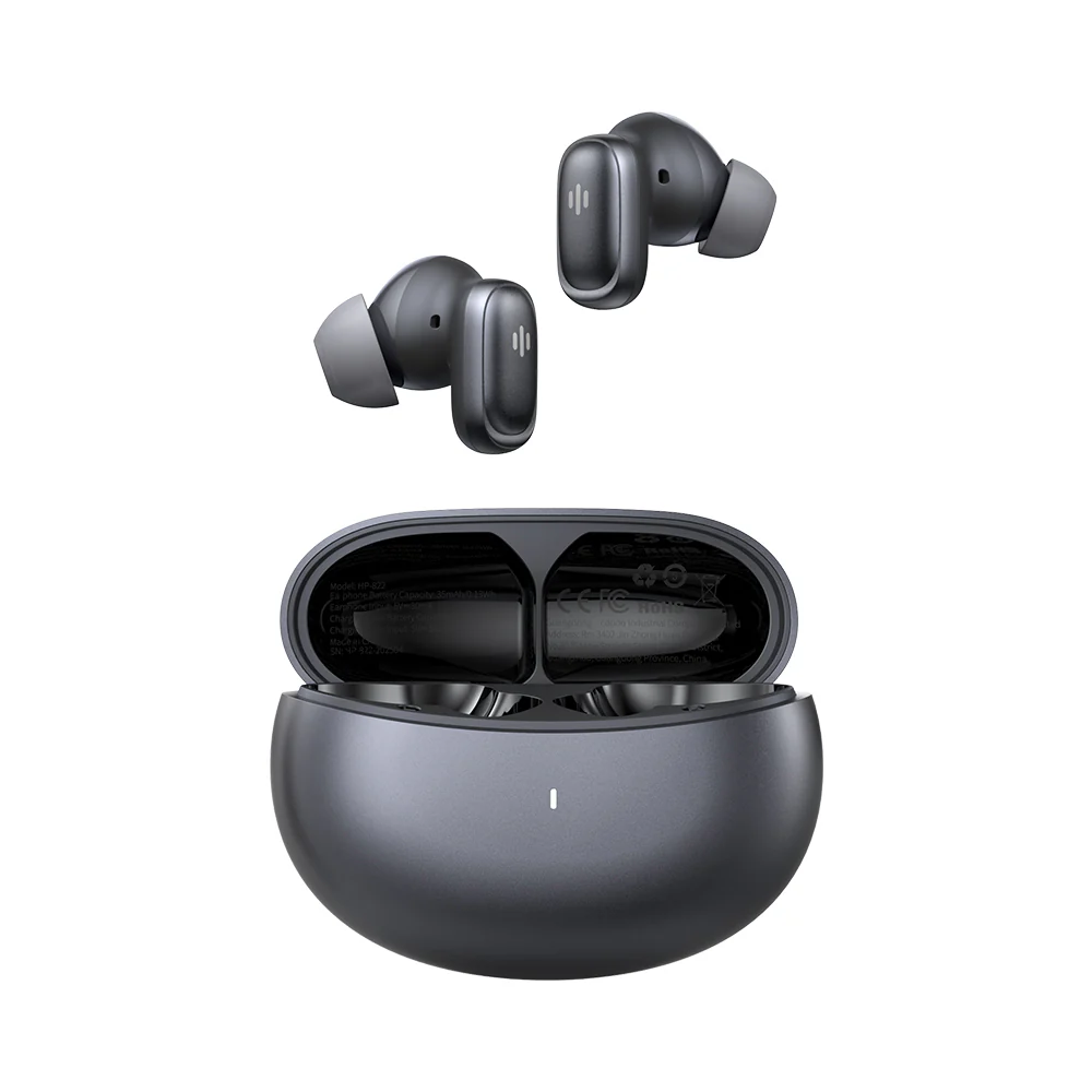 Translator Ear Buds