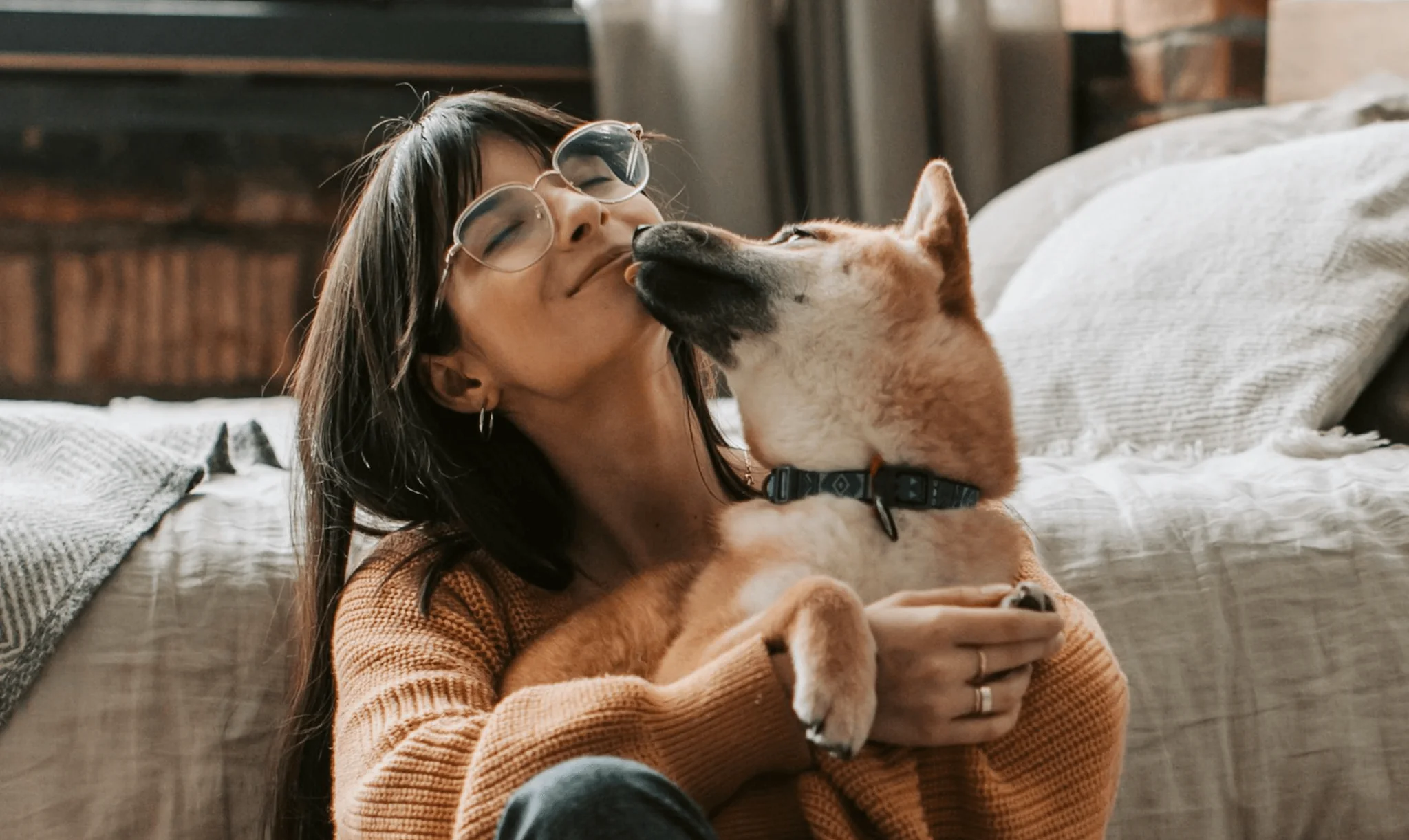 Caring Dogs
